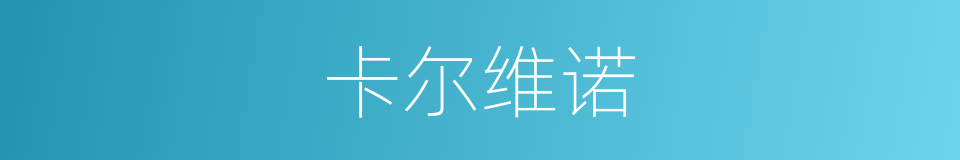 卡尔维诺的同义词