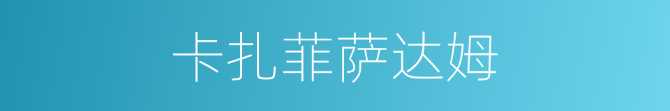 卡扎菲萨达姆的同义词