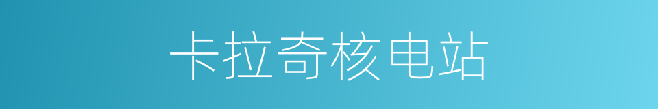 卡拉奇核电站的同义词