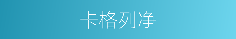 卡格列净的同义词