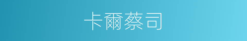 卡爾蔡司的同義詞