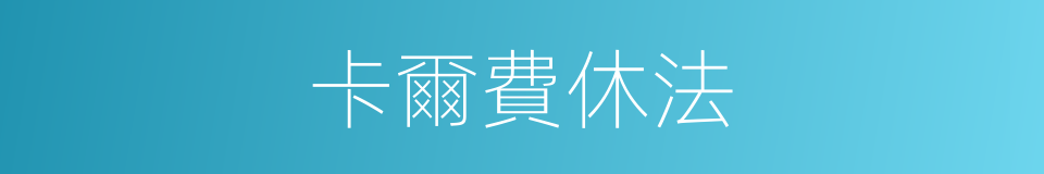 卡爾費休法的同義詞