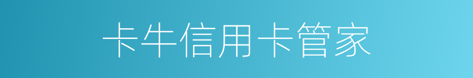 卡牛信用卡管家的同义词