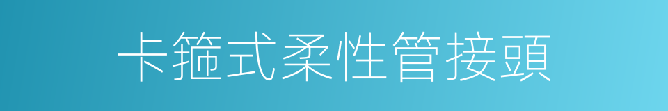 卡箍式柔性管接頭的同義詞