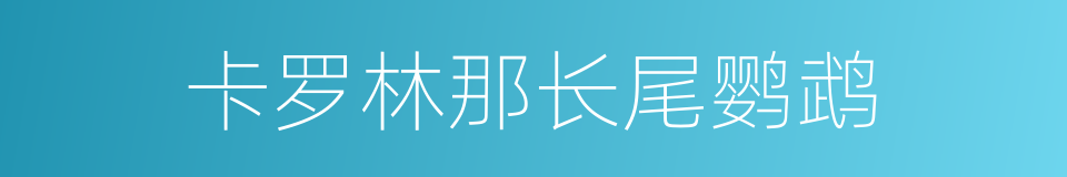 卡罗林那长尾鹦鹉的同义词