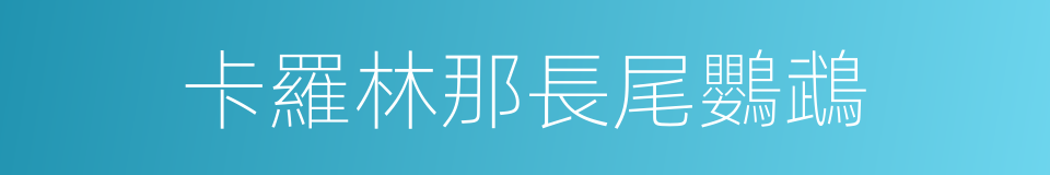 卡羅林那長尾鸚鵡的同義詞