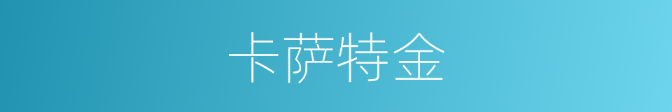 卡萨特金的同义词