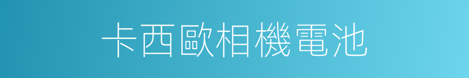 卡西歐相機電池的同義詞