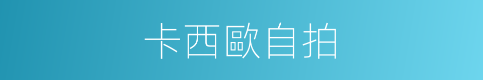 卡西歐自拍的同義詞