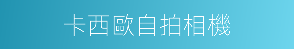 卡西歐自拍相機的同義詞