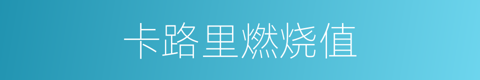 卡路里燃烧值的同义词