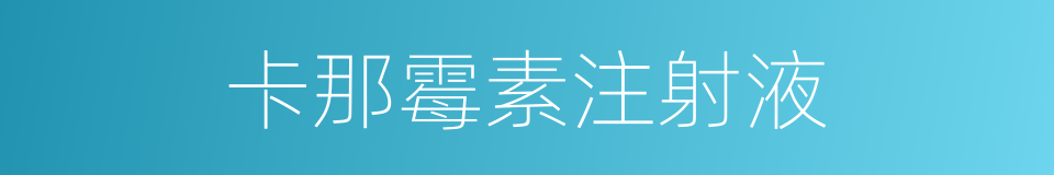 卡那霉素注射液的同义词