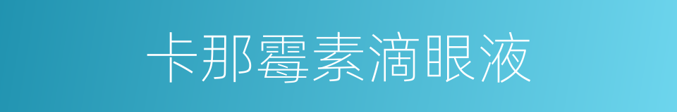 卡那霉素滴眼液的同义词