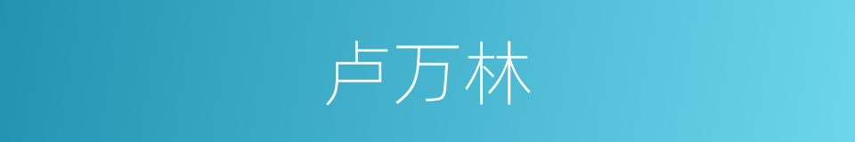 卢万林的同义词
