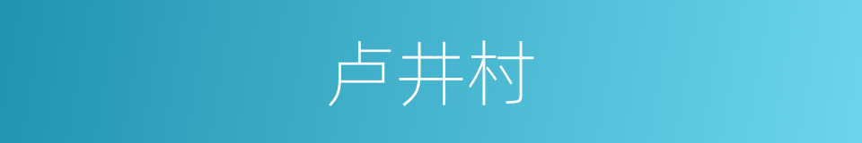 卢井村的同义词