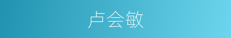 卢会敏的同义词