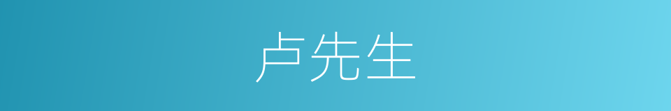卢先生的同义词
