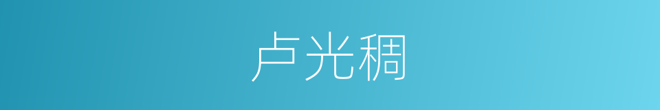 卢光稠的同义词