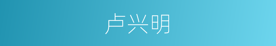 卢兴明的同义词