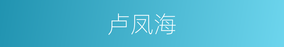 卢凤海的同义词