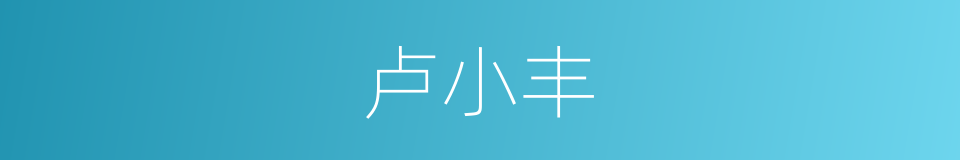 卢小丰的同义词