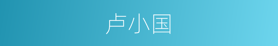 卢小国的同义词