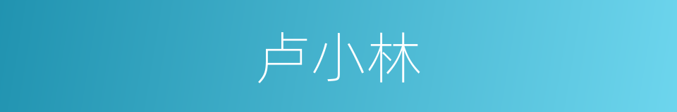 卢小林的同义词