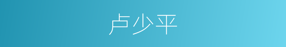 卢少平的同义词