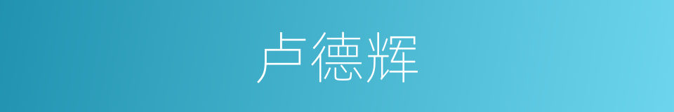 卢德辉的同义词