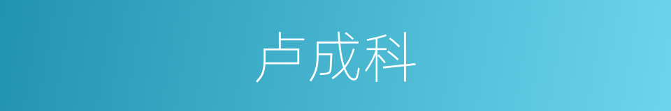 卢成科的同义词