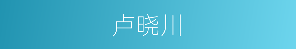 卢晓川的同义词
