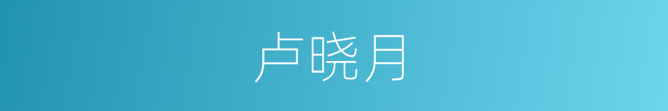 卢晓月的同义词