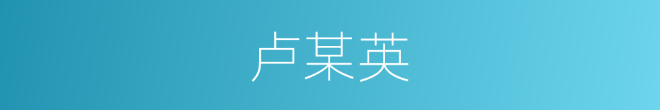 卢某英的同义词