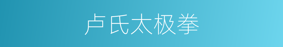 卢氏太极拳的同义词