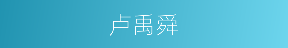 卢禹舜的同义词