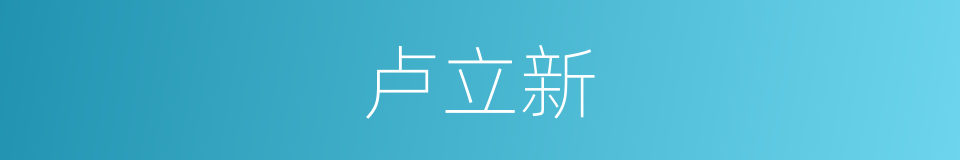 卢立新的同义词