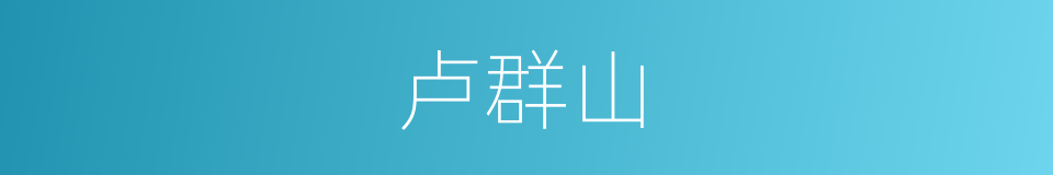 卢群山的同义词