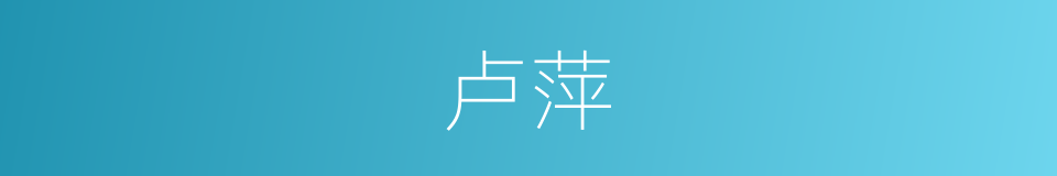 卢萍的同义词