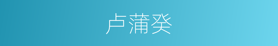 卢蒲癸的同义词