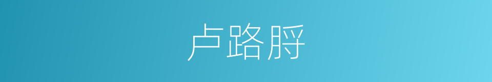 卢路脟的同义词