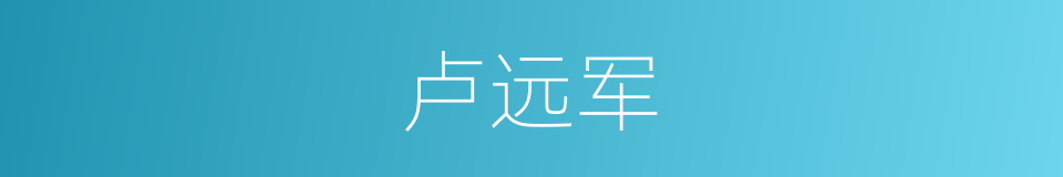 卢远军的同义词