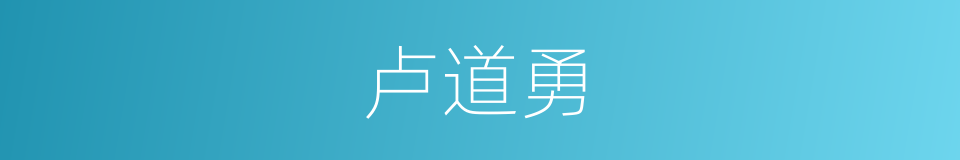 卢道勇的同义词