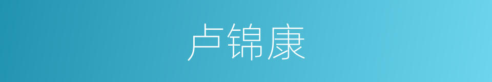 卢锦康的同义词