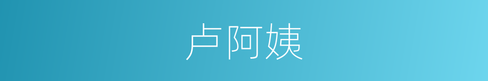 卢阿姨的同义词