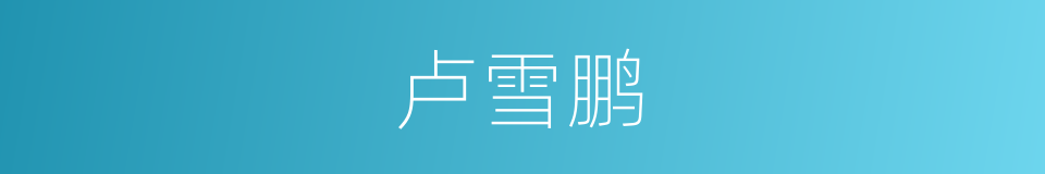 卢雪鹏的同义词