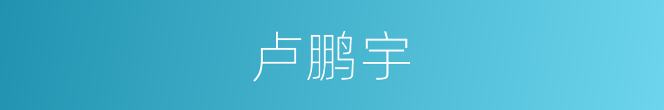 卢鹏宇的同义词