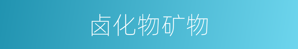 卤化物矿物的同义词