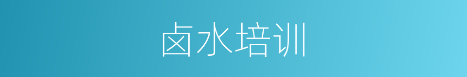 卤水培训的同义词