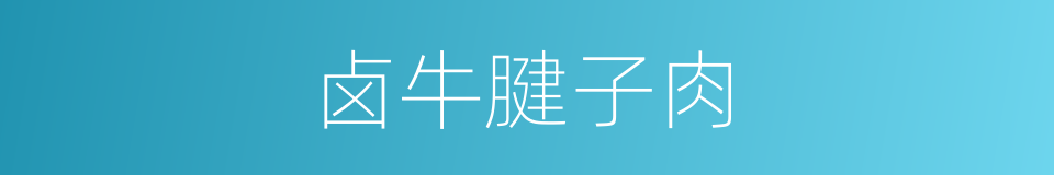 卤牛腱子肉的同义词