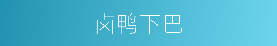 卤鸭下巴的同义词